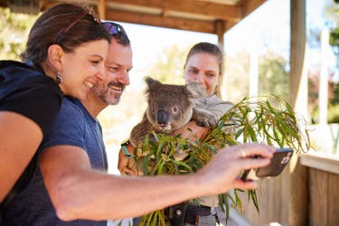 Wildlife, waterfalls and wine full day guided tour from Sydney